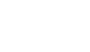 World Water Council